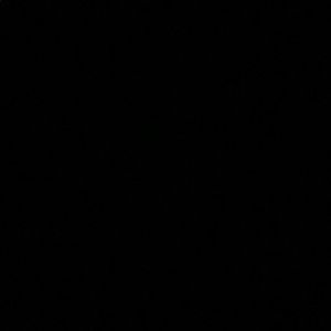 Meet your Posher, Travis